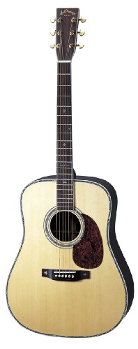 Aria AD-80 | Guitar Specs Review